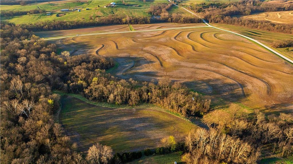 Listing Photo MLS #HMS2613406