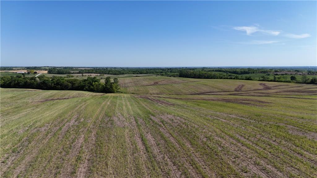 Listing Photo MLS #HMS2614420