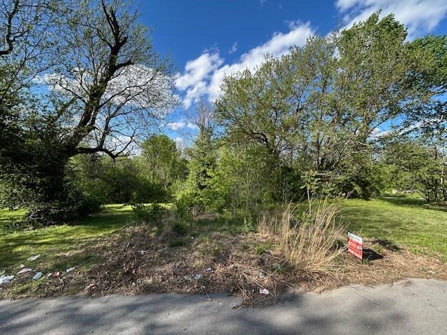 Listing Photo MLS #HMS2614698