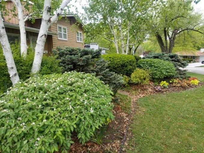 Listing Photo MLS #HMS2614775