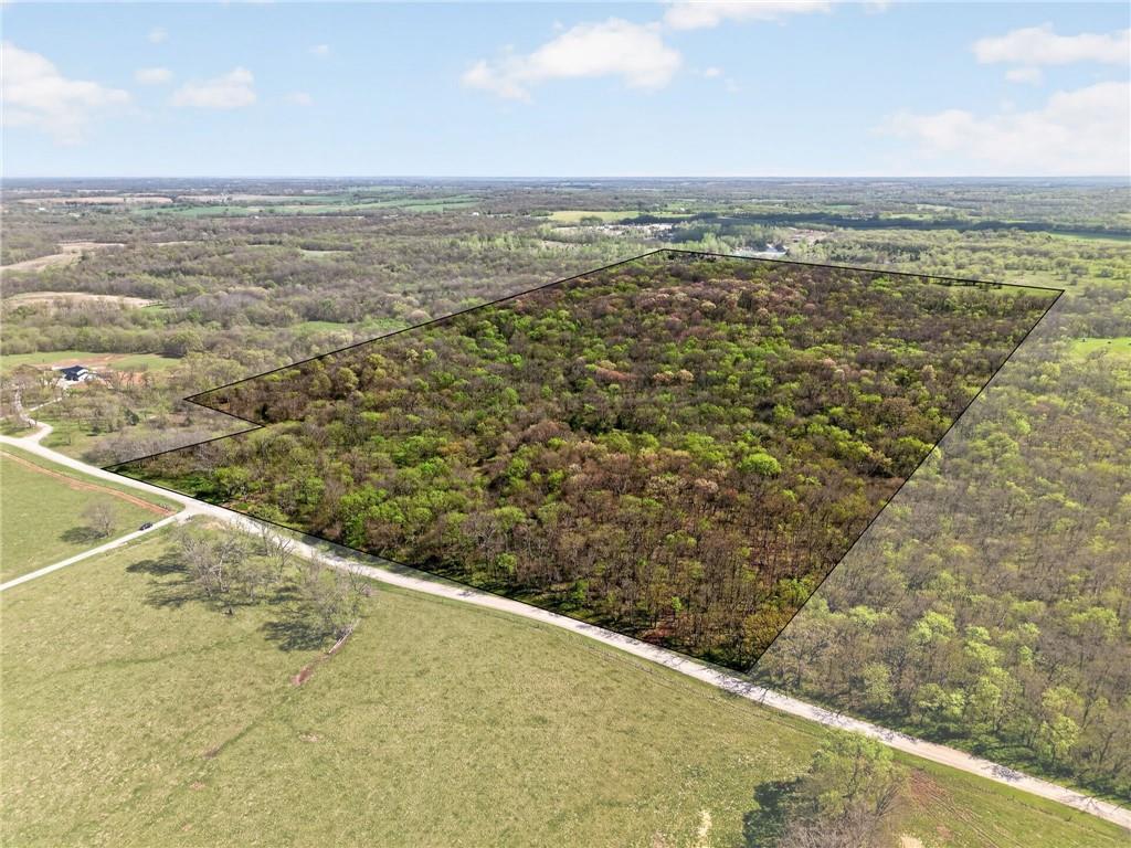 Listing Photo MLS #HMS2615038