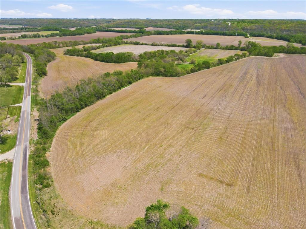 Listing Photo MLS #HMS2615495