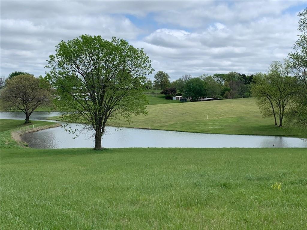 Listing Photo MLS #HMS2615833