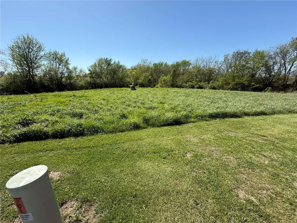 Listing Photo MLS #HMS2616051