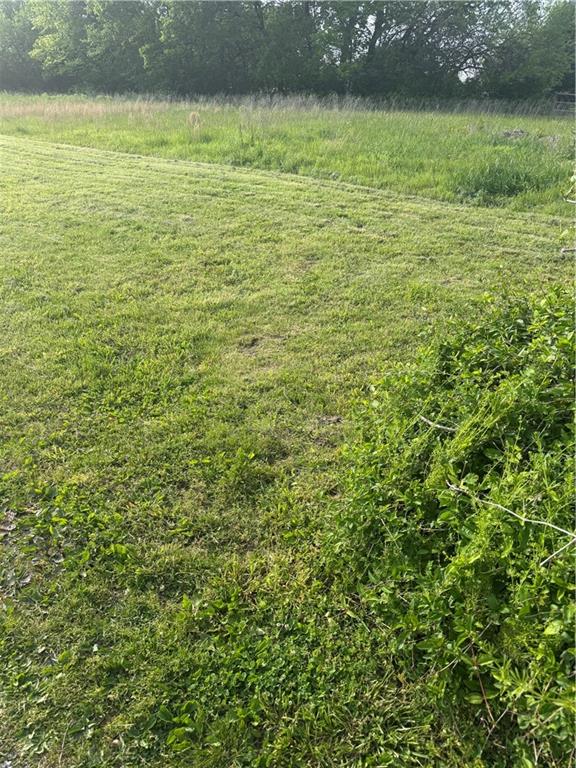 Listing Photo MLS #HMS2616604