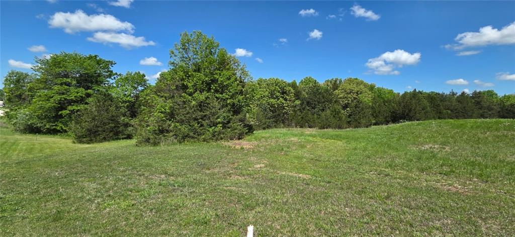 Listing Photo MLS #HMS2616638