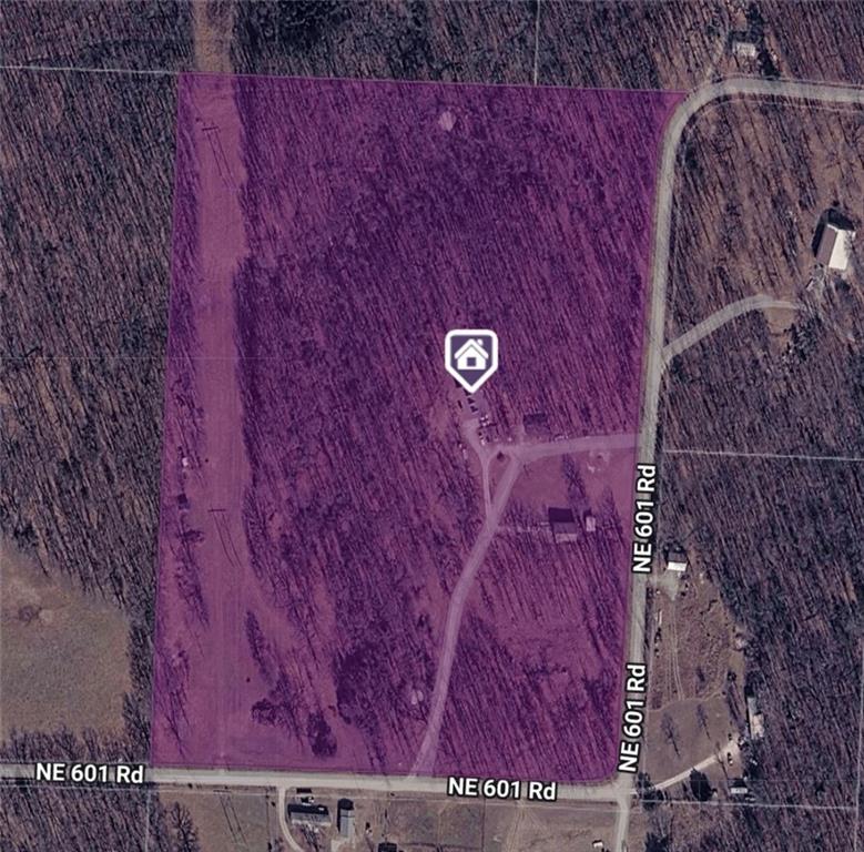 Listing Photo MLS #HMS2617944