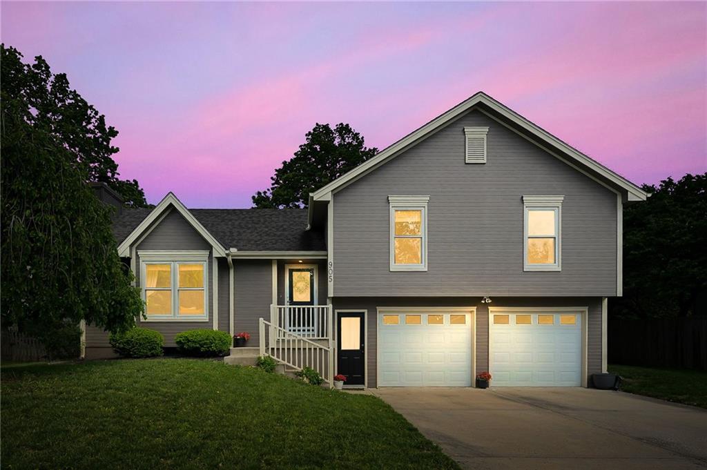 Listing Photo MLS #HMS2618944