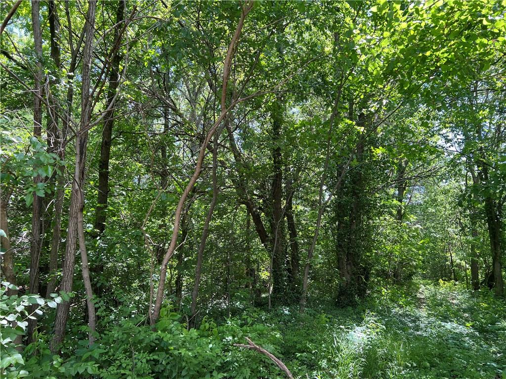 Listing Photo MLS #HMS2619005