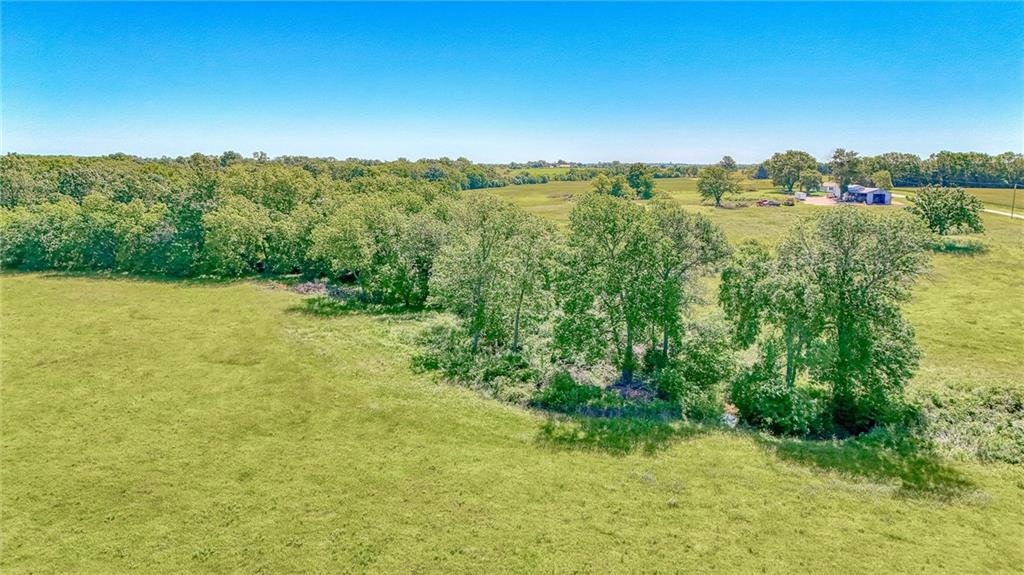 Listing Photo MLS #HMS2619611