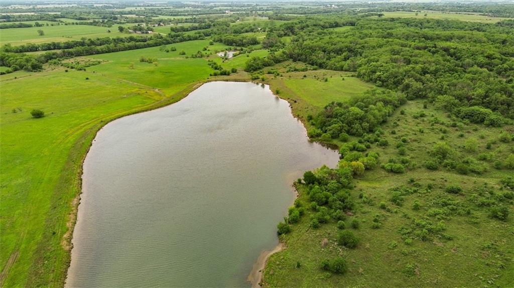 Listing Photo MLS #HMS2619698