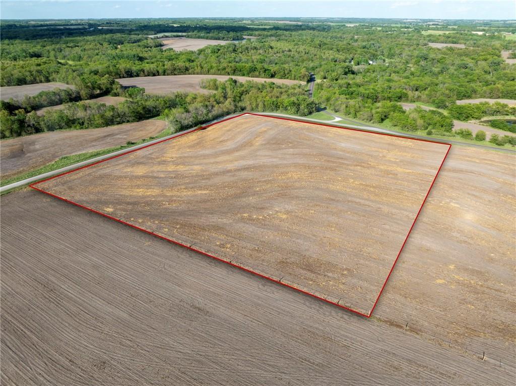Listing Photo MLS #HMS2620159