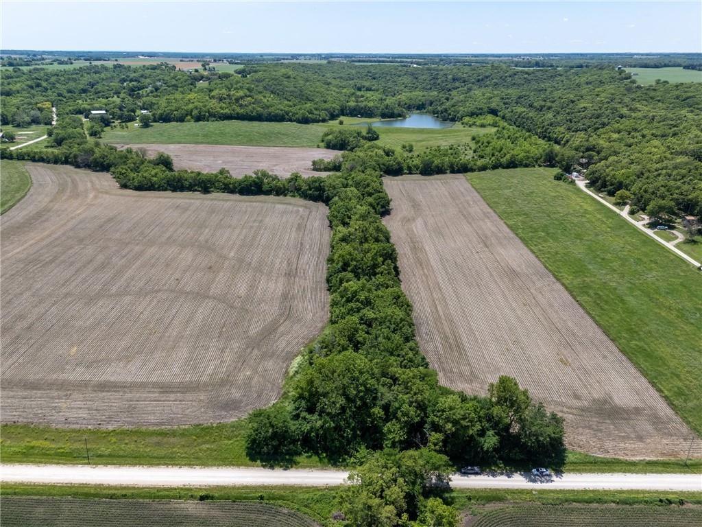 Listing Photo MLS #HMS2620434