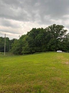 Listing Photo MLS #HMS2620593