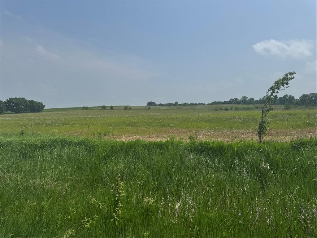 Listing Photo MLS #HMS2620595