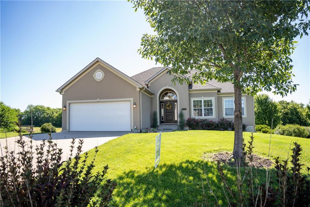 Listing Photo MLS #HMS2620605