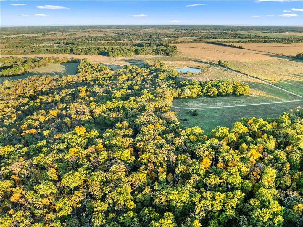 Listing Photo MLS #HMS2620803
