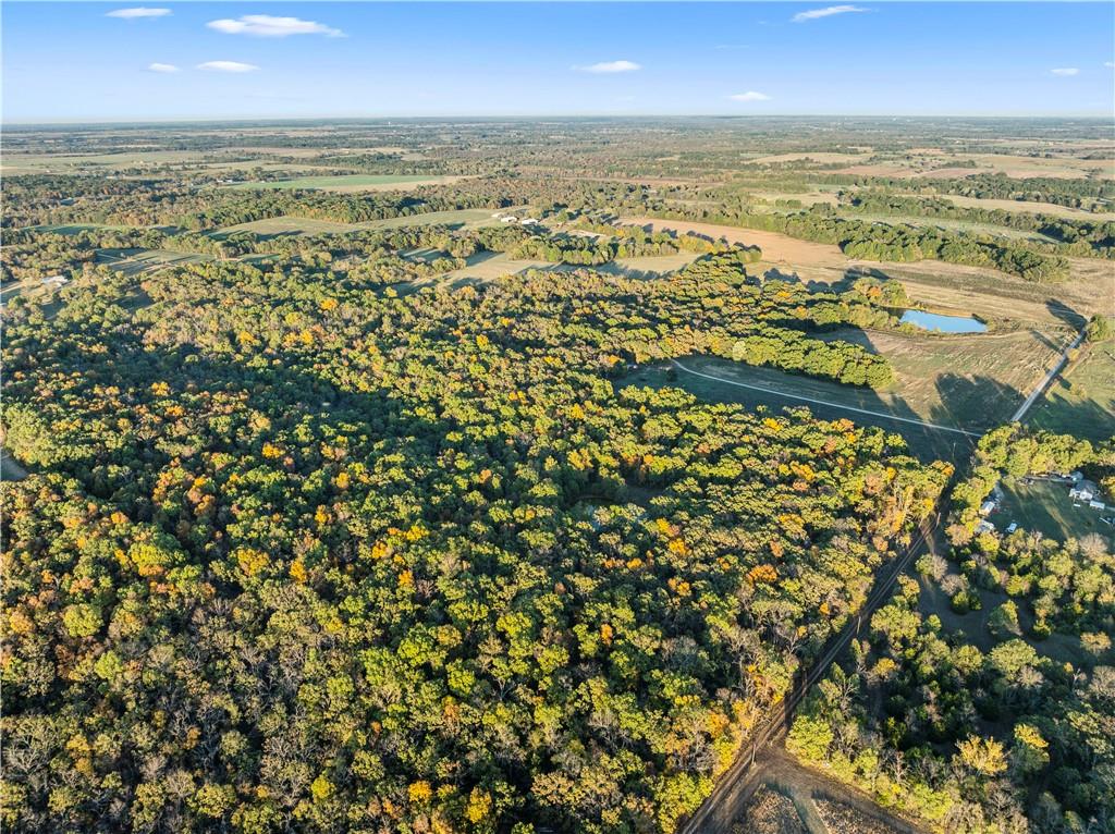 Listing Photo MLS #HMS2620876