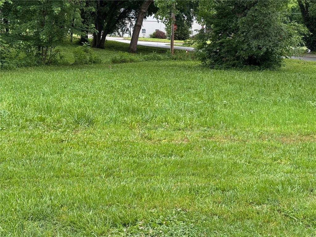 Listing Photo MLS #HMS2621366