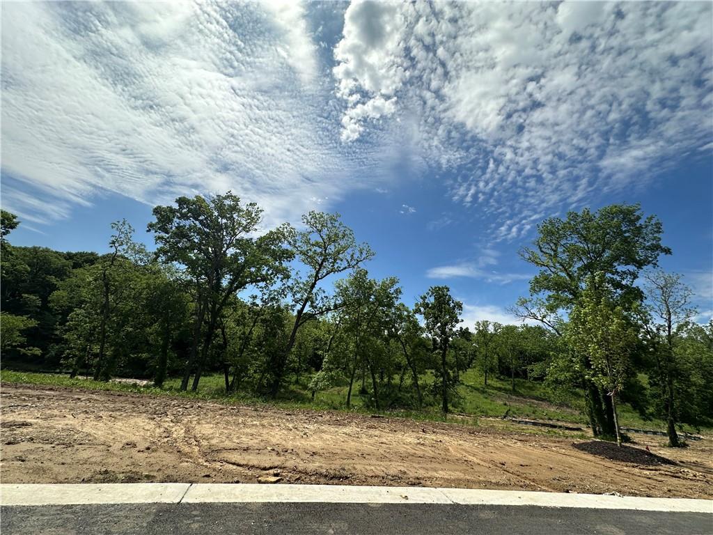 Listing Photo MLS #HMS2621413