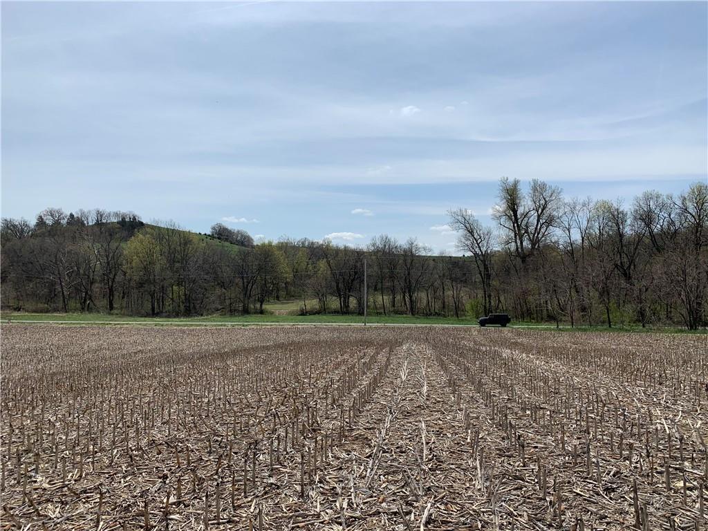 Listing Photo MLS #HMS2621480