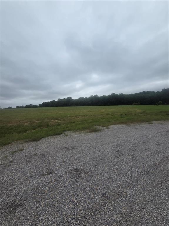 Listing Photo MLS #HMS2621570