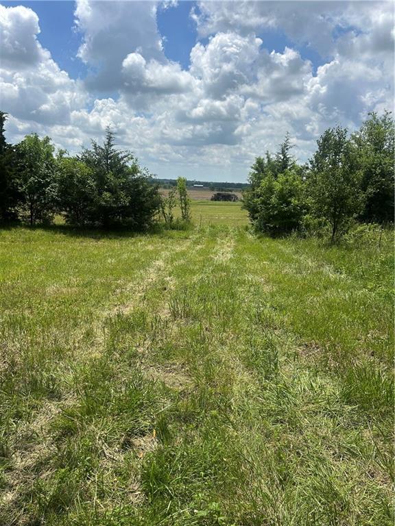 Listing Photo MLS #HMS2621587