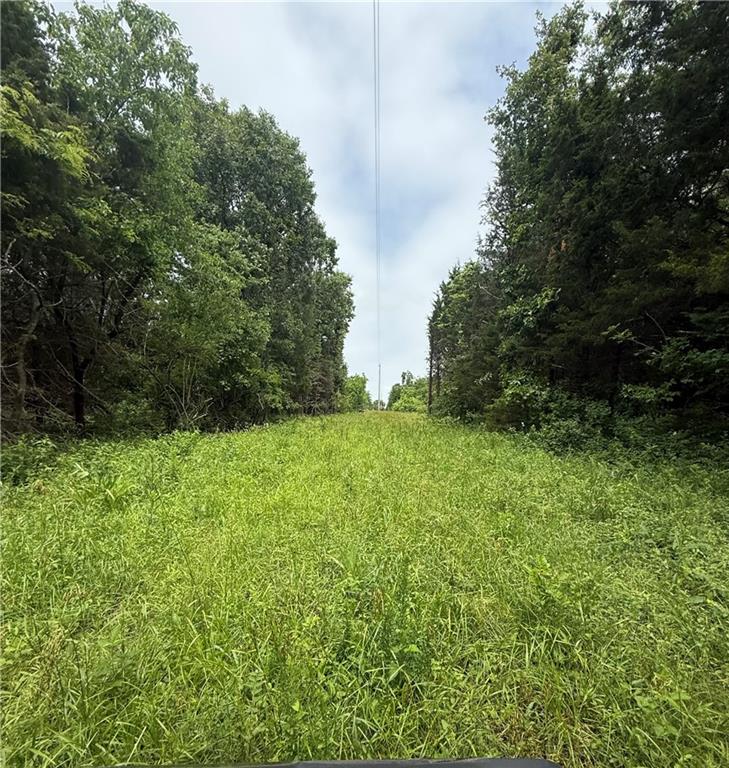 Listing Photo MLS #HMS2621780