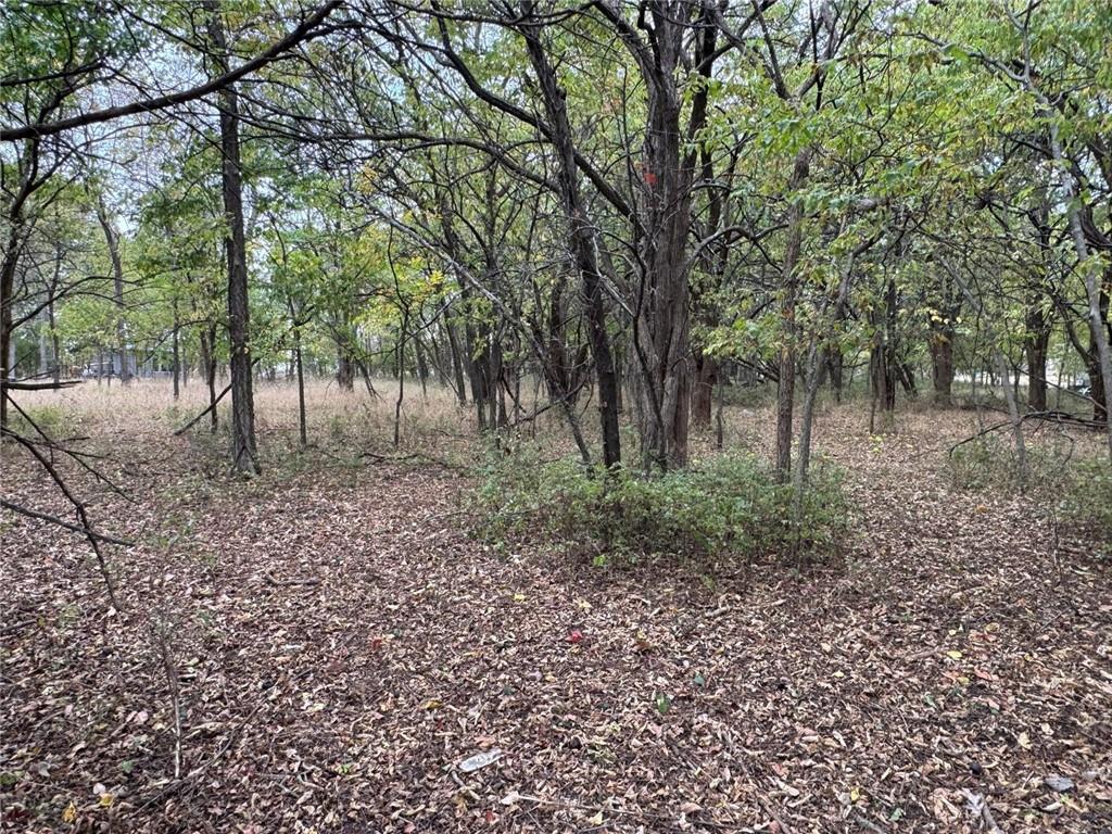 Listing Photo MLS #HMS2621857