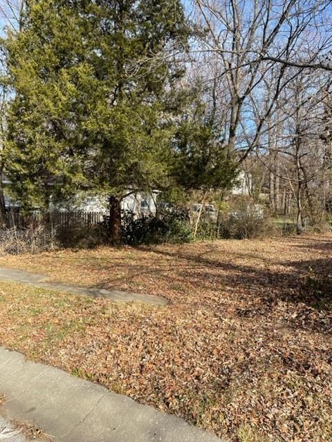 Listing Photo MLS #HMS2621899