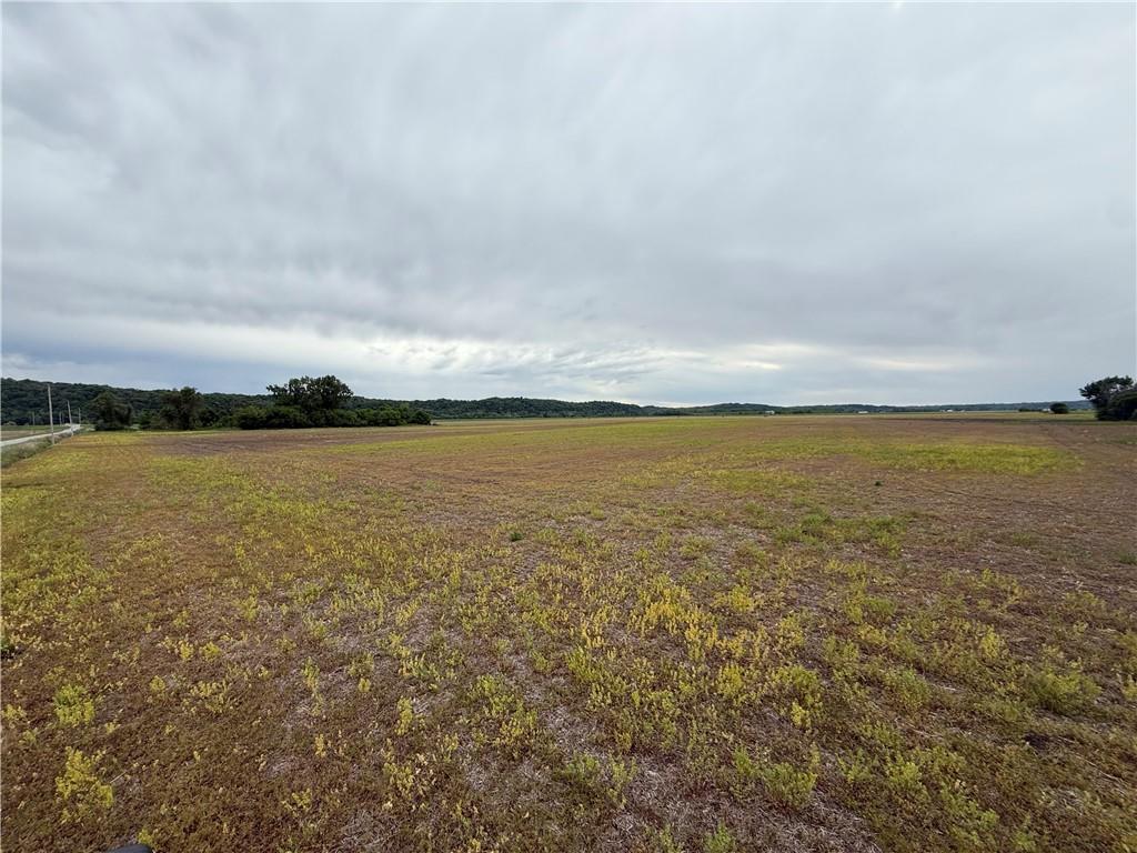 Listing Photo MLS #HMS2621918