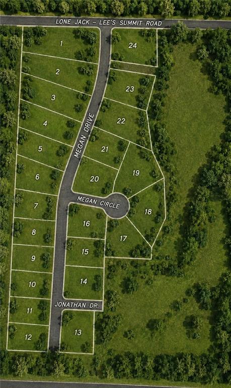 Listing Photo MLS #HMS2622270