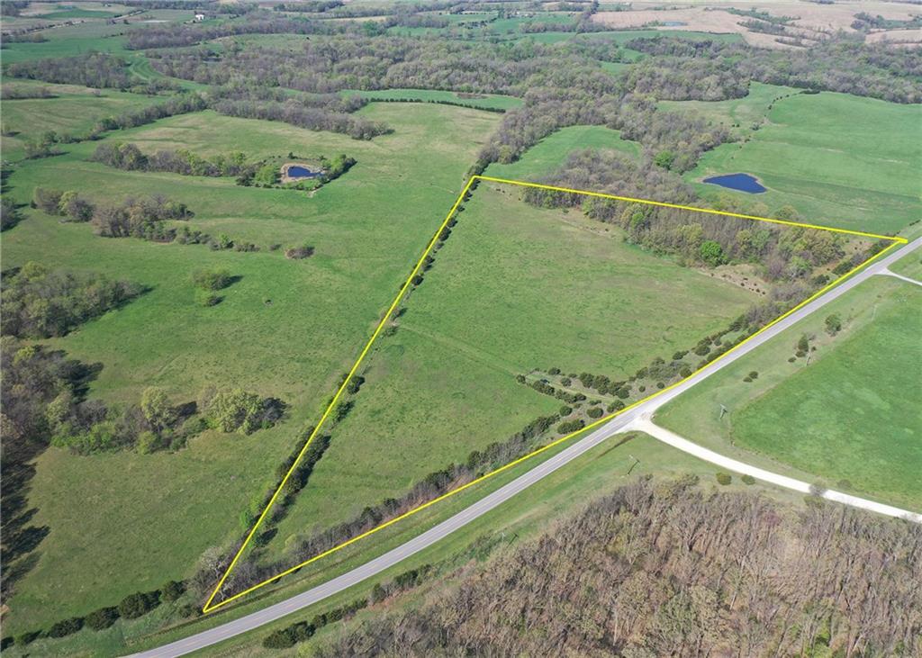 Listing Photo MLS #HMS2622556