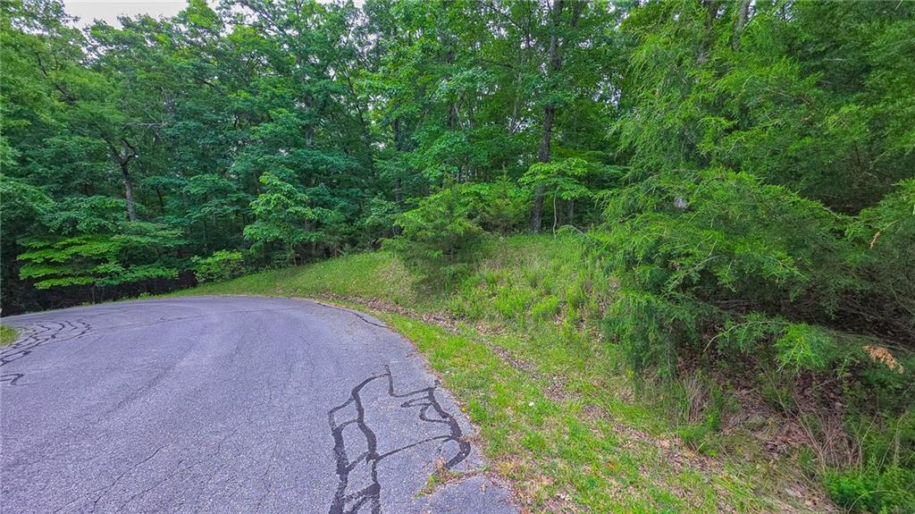 Listing Photo MLS #HMS2622639