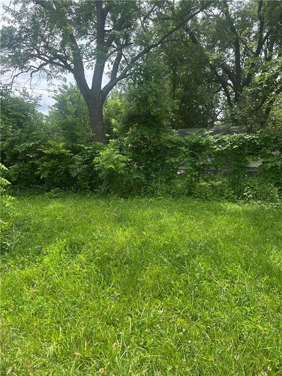 Listing Photo MLS #HMS2622766