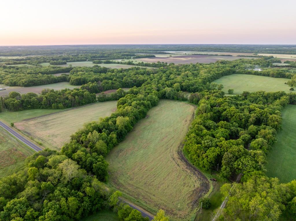 Listing Photo MLS #HMS2622996