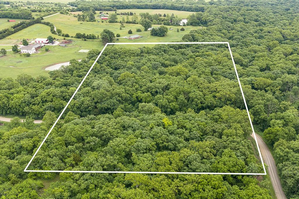 Listing Photo MLS #HMS2623028