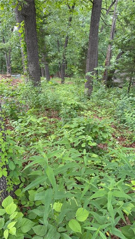 Listing Photo MLS #HMS2623192