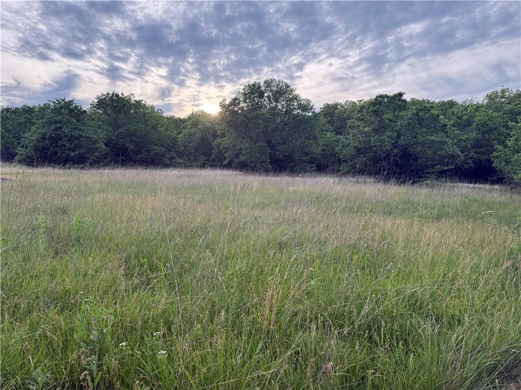 Listing Photo MLS #HMS2623538