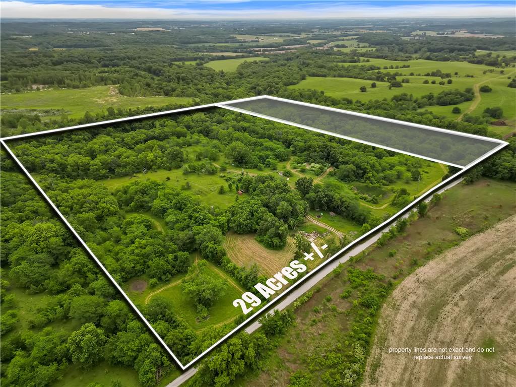 Listing Photo MLS #HMS2623571