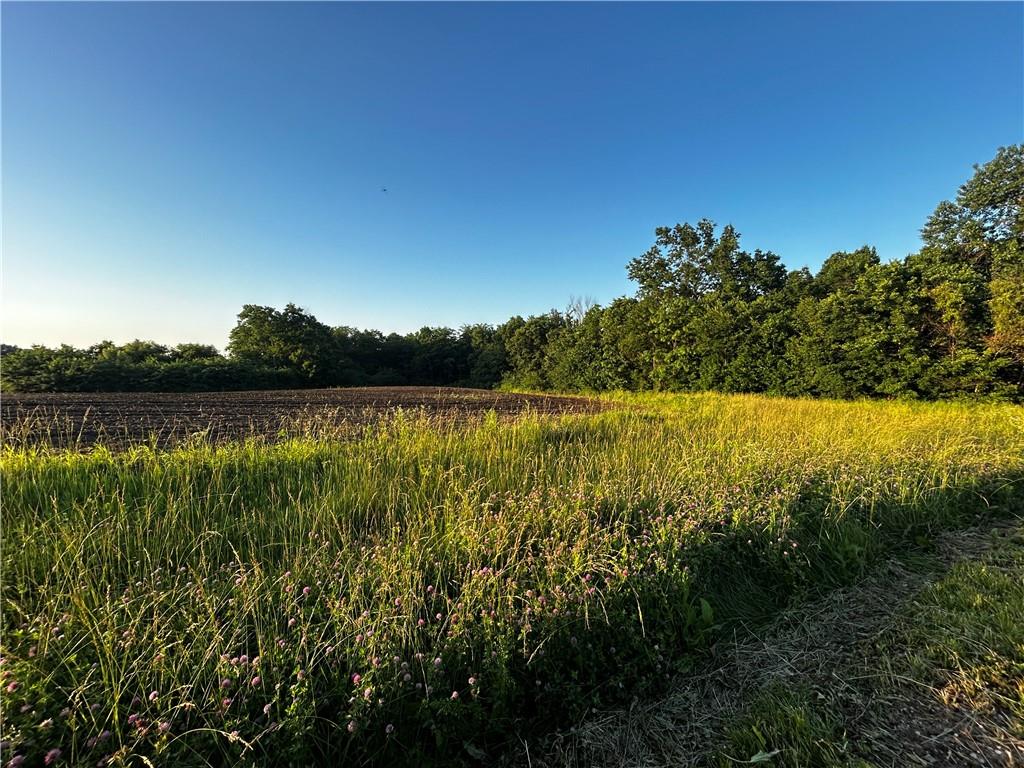 Listing Photo MLS #HMS2623832