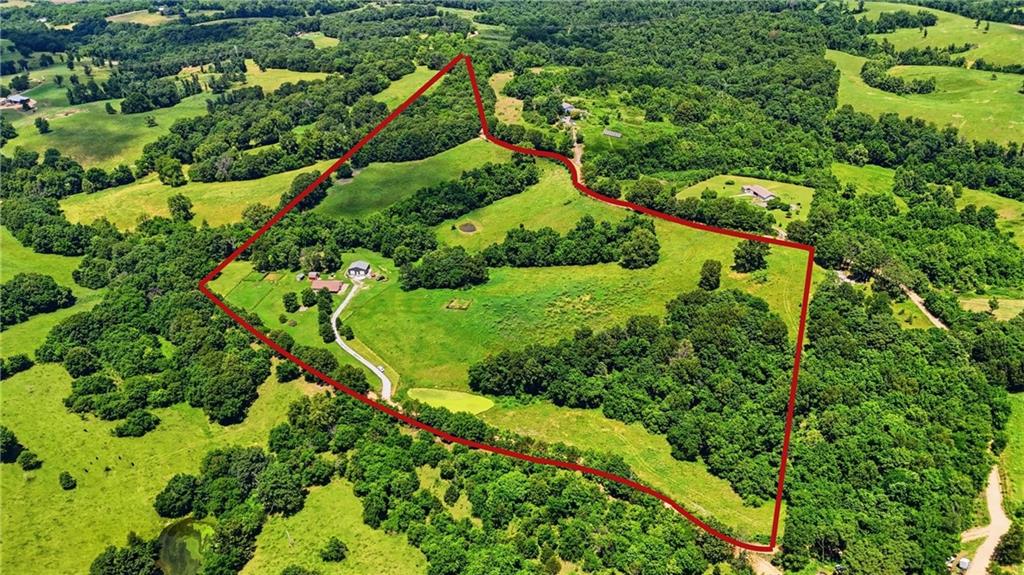 Listing Photo MLS #HMS2623836
