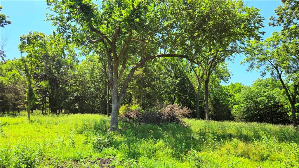 Listing Photo MLS #HMS2624453