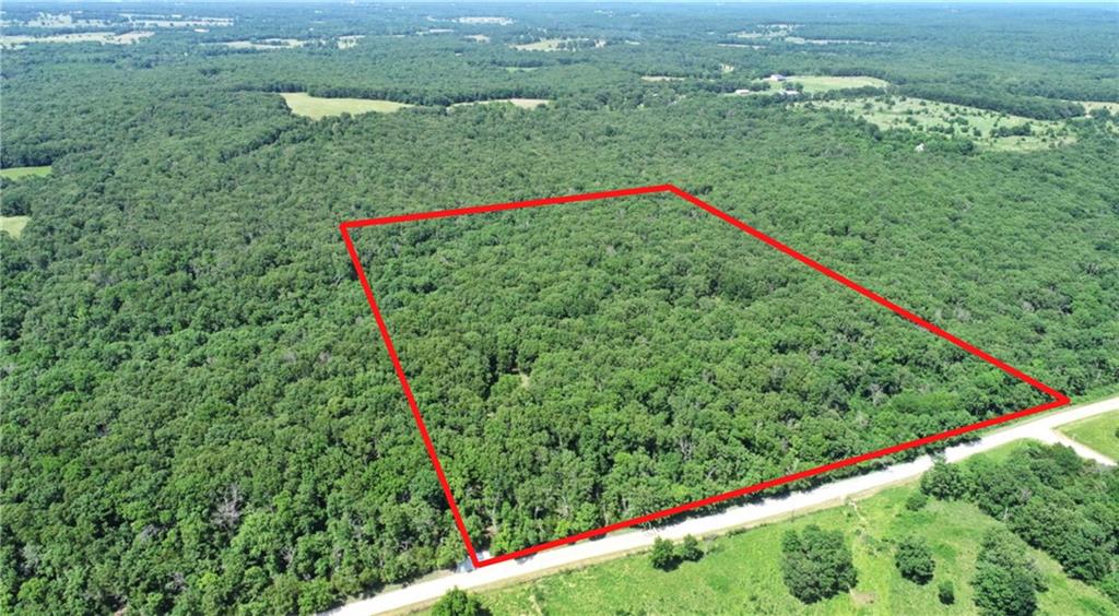 Listing Photo MLS #HMS2624550