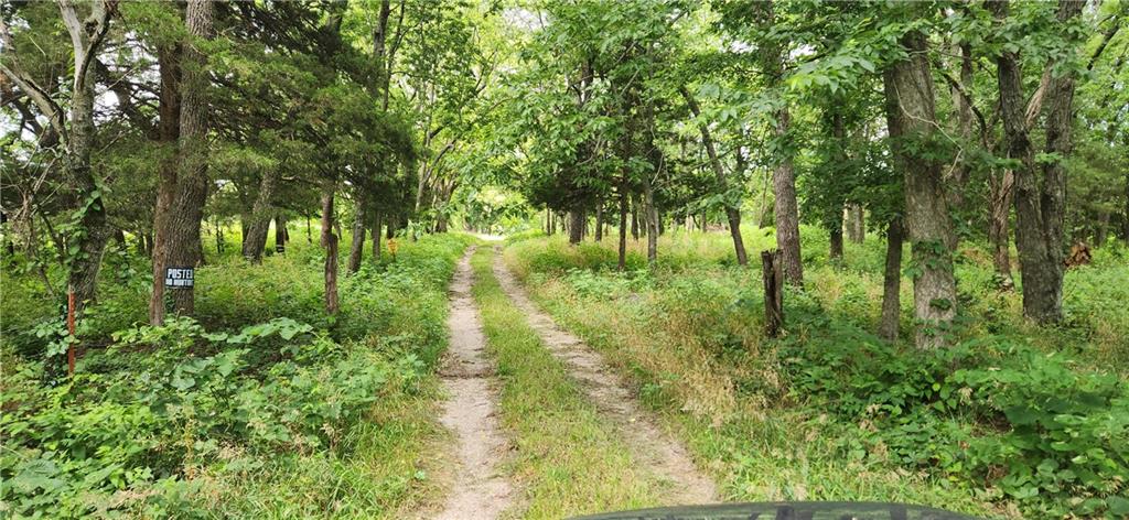 Listing Photo MLS #HMS2624896