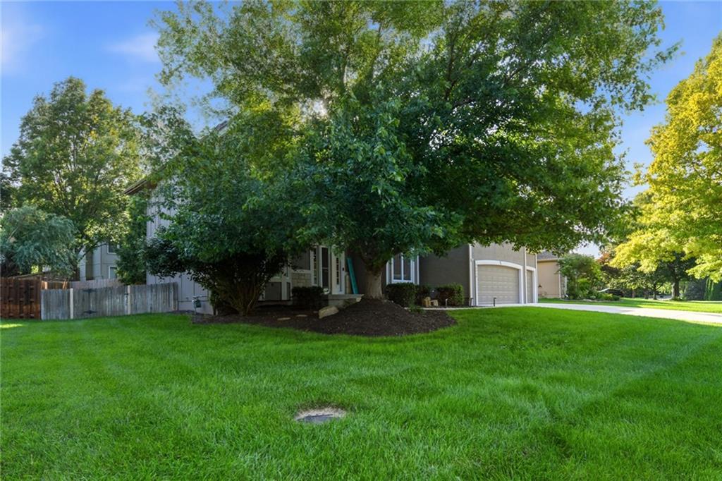 Listing Photo MLS #HMS2625137