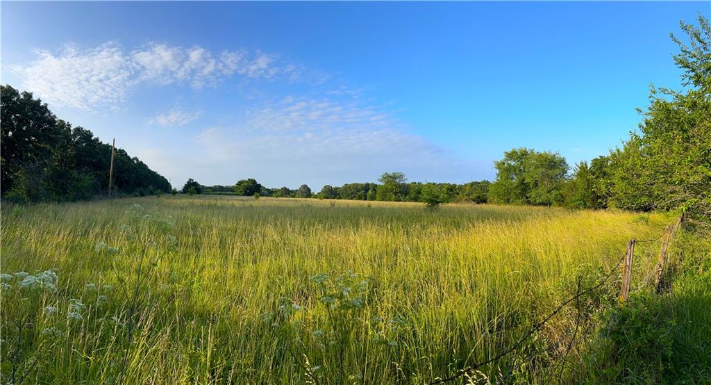 Listing Photo MLS #HMS2625528