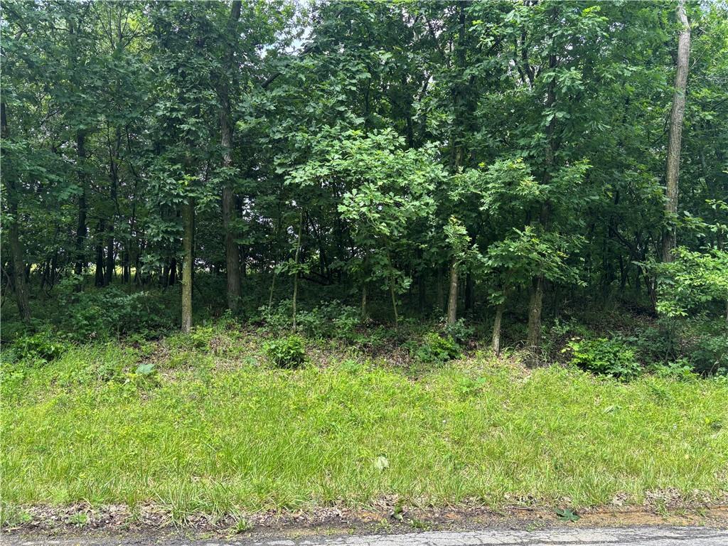 Listing Photo MLS #HMS2625583