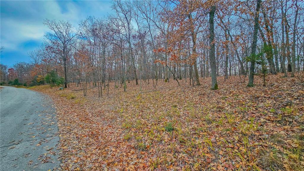Listing Photo MLS #HMS2625735