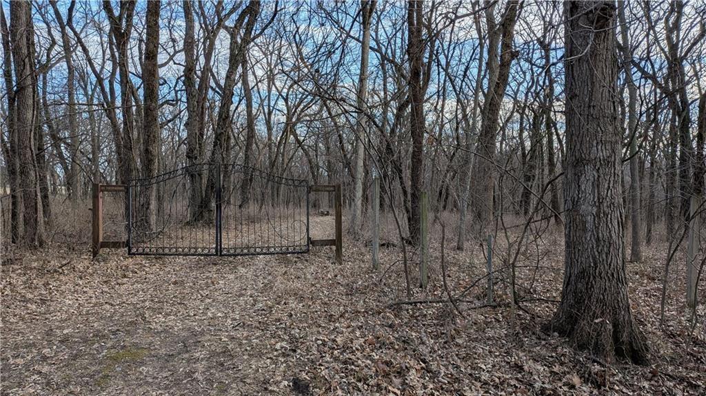 Listing Photo MLS #HMS2625919